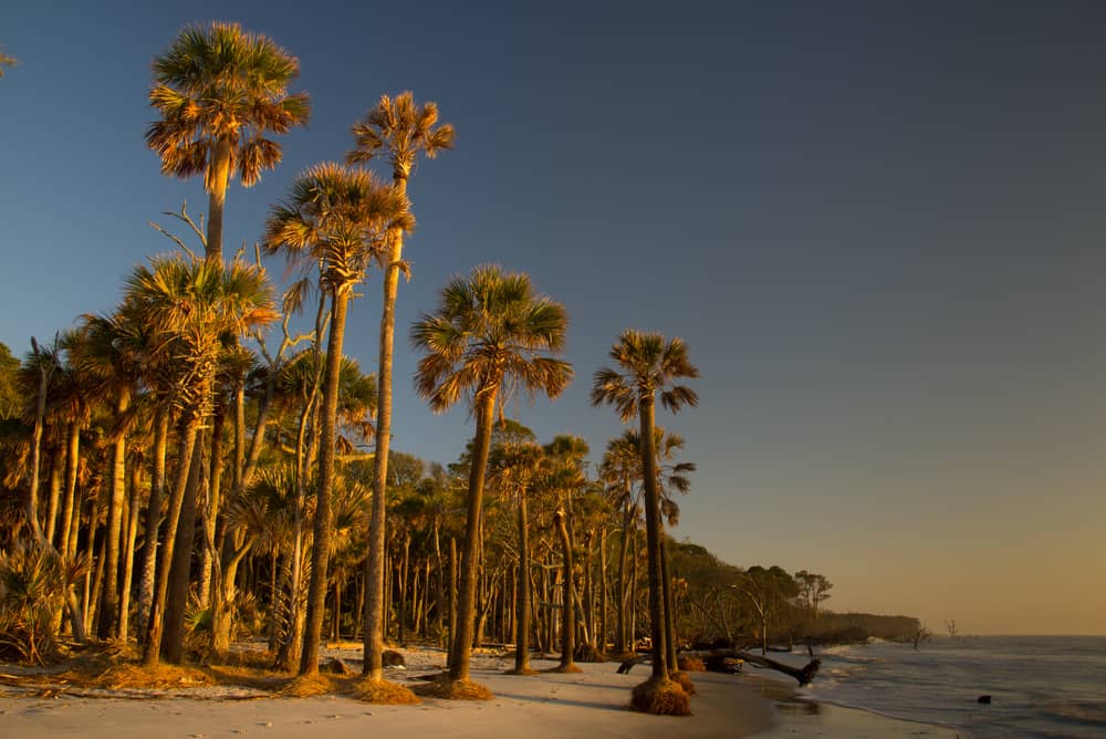 Hunting Island State Park Beach