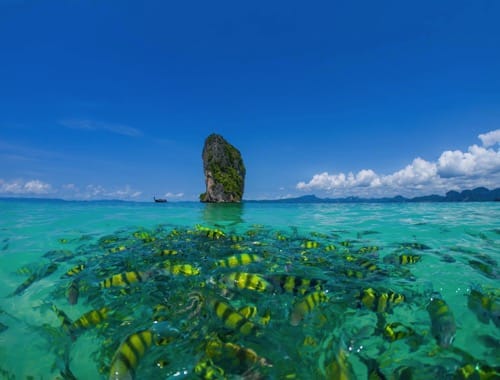 Krabi, Thailand